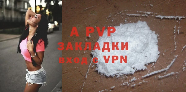 бошки Белокуриха