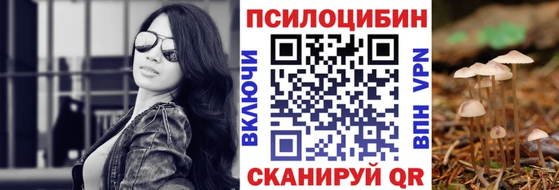 omg сайт продажа наркотиков Семикаракорск Псилоцибиновые грибы GOLDEN TEACHER